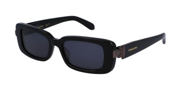 Salvatore Ferragamo SF1105S-001