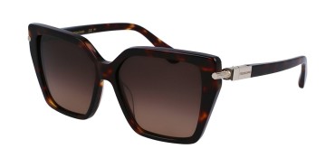 Salvatore Ferragamo SF1106S-242