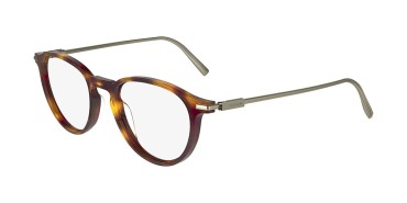 Salvatore Ferragamo SF2976-240