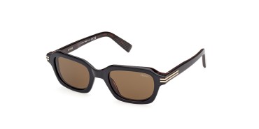 Zegna EZ0239-05J