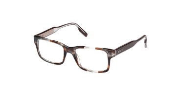 Zegna EZ5254-020